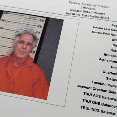 US govt watchdog to review release of Epstein files