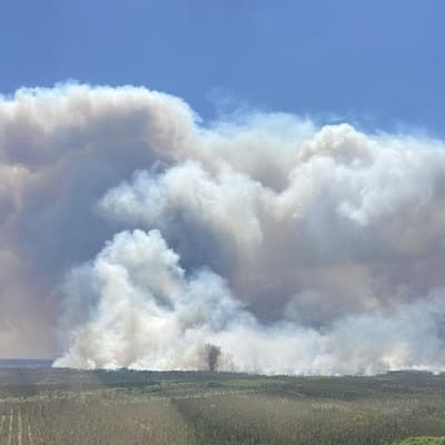 Firefighter dies, 120 homes destroyed in US wildfires