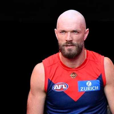 AFL sacks appeals board chair, Gawn condemns language
