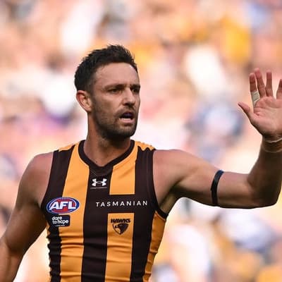 Hawthorn outshine Suns after 'baffling' 50m penalty