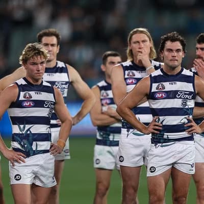Geelong boss won't jump at shadows after shock loss