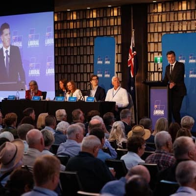 'Brand damage' risk as Liberals preference One Nation
