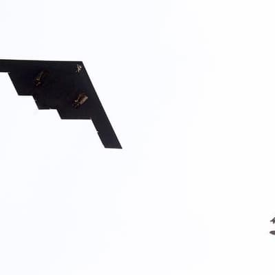 Stealth bombers urged as cover for nuclear submarines