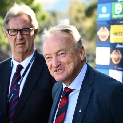 Demons hatched plan to sack Guerra 'a week or two ago'