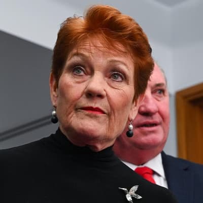 Hanson flaunts 'sexy' new plane before donor law change