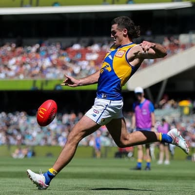 Time to atone: Eagles vow to bounce back against Tigers