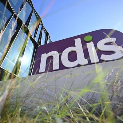 Revealed: amount of NDIS spending lost to fraud, misuse