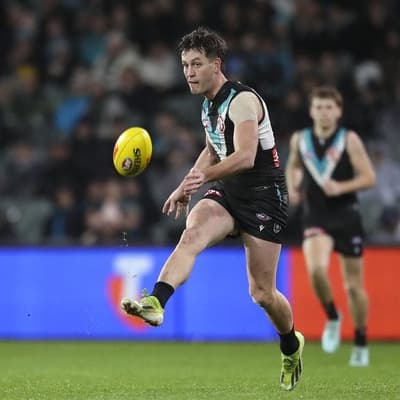 AFL umpire ends betting agency role after tribunal case