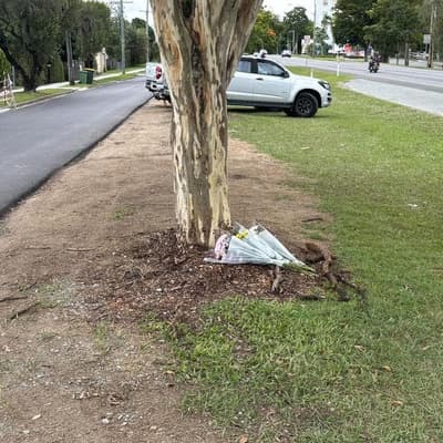 Fatal crash leads to alleged driver's school discovery