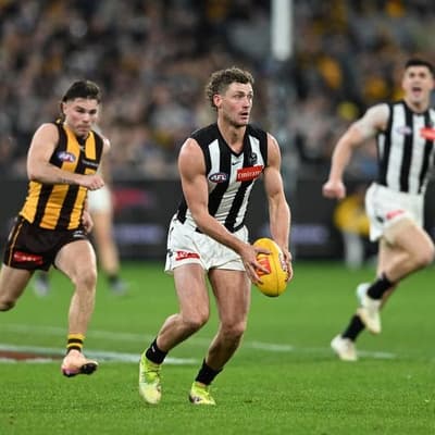 Perryman blow for Pies, Dees' Mihocek sidelined