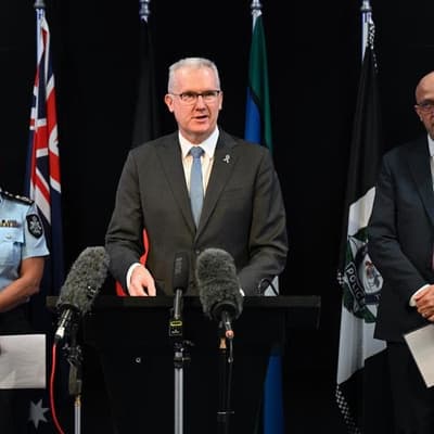 Islamic State-linked cohort to face arrest on return