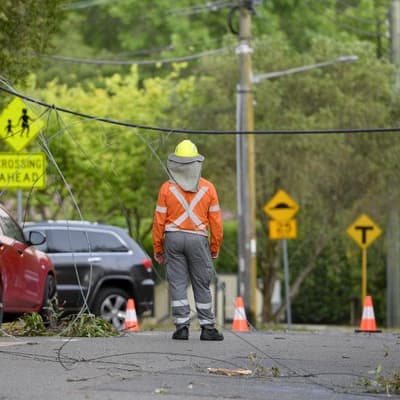 'Disregard for safety': Ausgrid facing two lawsuits