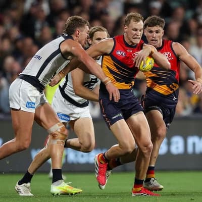 Adelaide Crows to feed off returning skipper's energy