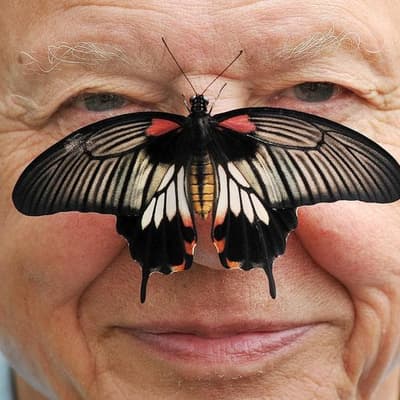 Attenborough 'overwhelmed' by 100th birthday greetings