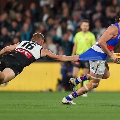 'You get used to it': Dogs coach on brilliant captain