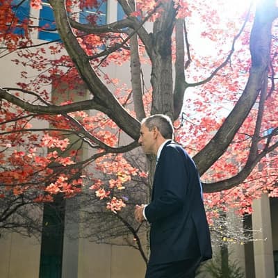 Federal budget to dominate the economic agenda