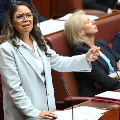 Senator's plea to end 'racism of low expectations'