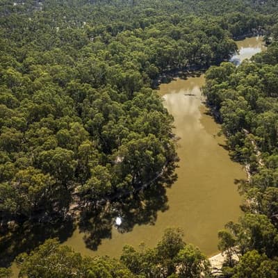 Water project greenlit despite threat to rare birds