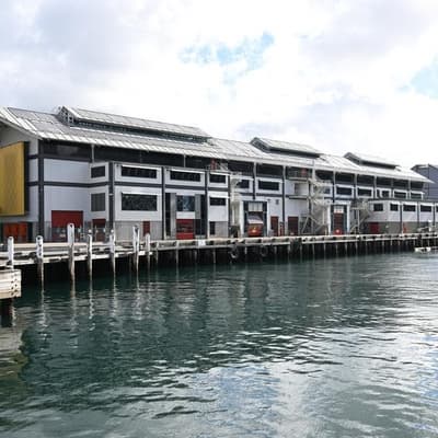 Wharf termite repairs worm way into budget