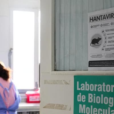 WHO revises down global hantavirus cases after US test