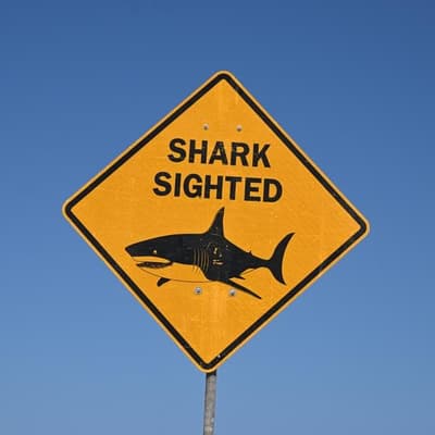Man killed by shark near popular holiday island