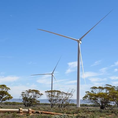 Chinese interference claims spark forced miner sell-off