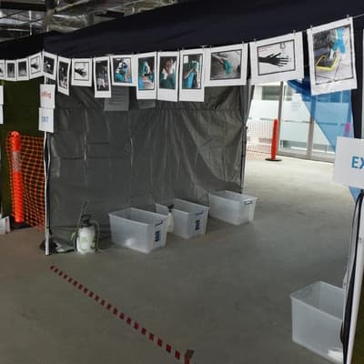 'Numbers increasing': border changes flagged for Ebola