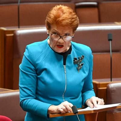 Hanson lashes gas tax 'vandalism', reveals energy plan
