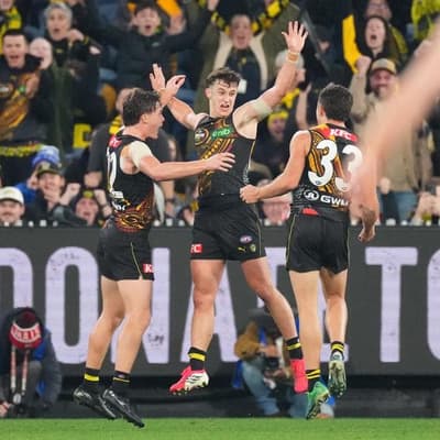 Dons hit rock bottom with 'Dreamtime' loss to Tigers