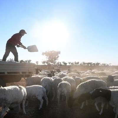 'Good thanks': farmer's mental health story hits home