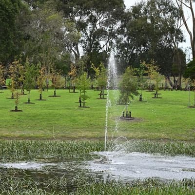 As cemeteries fill, Australians choose forests