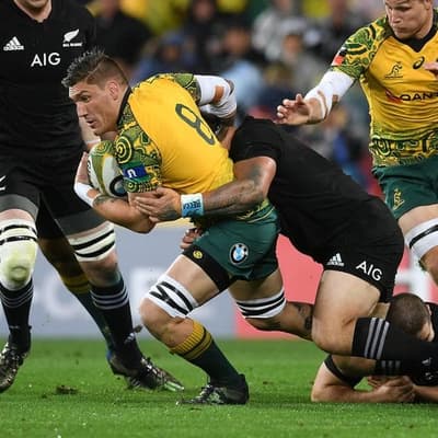 Former Wallaby on track for second title in Japan
