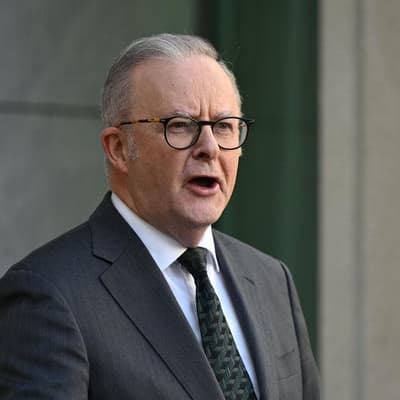 'Hoarding has stopped': Albanese reveals fuel levels