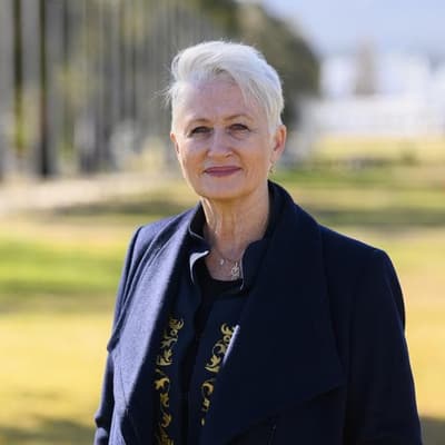 Pros and cons to creating formal party, ex-teal says