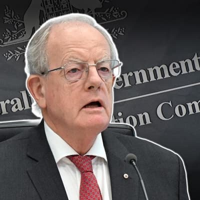 Corruption watchdog chief concedes he's a distraction