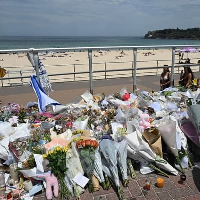 Risky gaps in guns registry noted years before Bondi