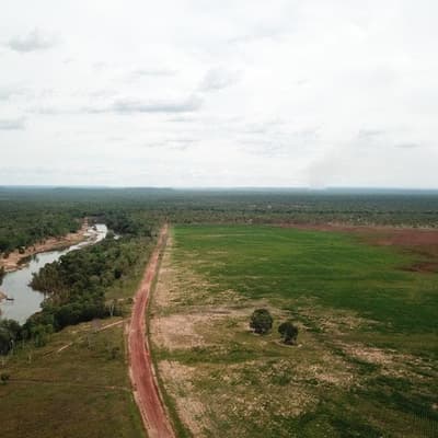 Legal action over plans to bulldoze tropical savanna