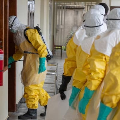 WHO reports 906 suspected Ebola cases in DR Congo