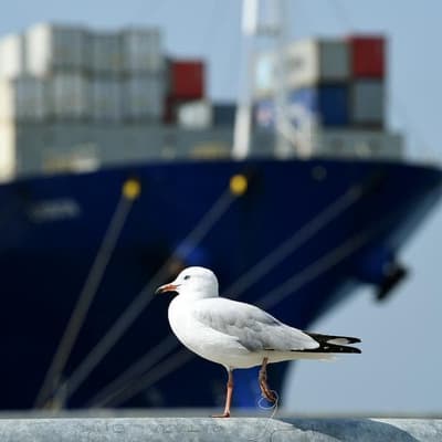 Cargo ship secured for national emergency fleet