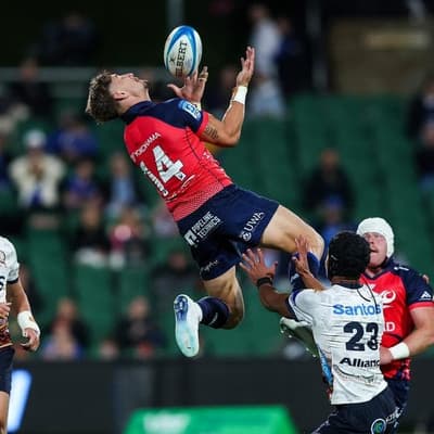 Time for Lomax Wallabies watch as Force's season ends