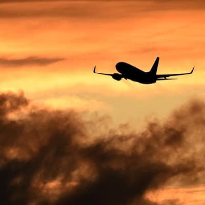 'Not loved out there': senator blasts airline bosses