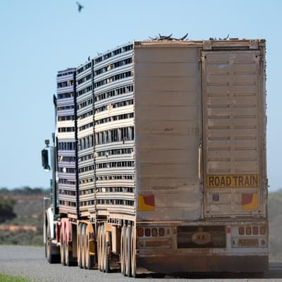 Diesel boost on the water for bottlenecked regions