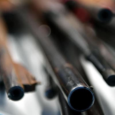 Hope fades for national gun law reforms after Bondi