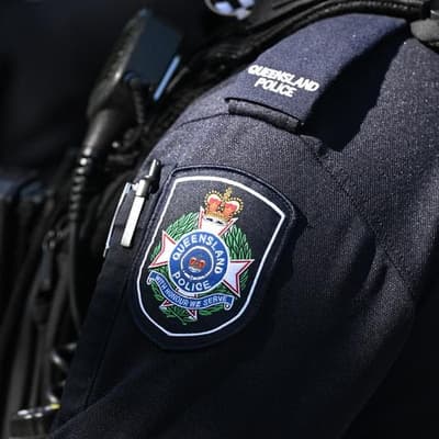 Video outrage: police shoot dog after running it over