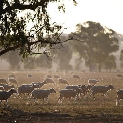 Watchdog flooded with complaints as dry spell persists