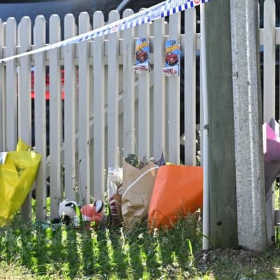Killer mum's chilling searches before slaying kids