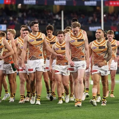 Foreign AFL disinformation operation targets Hawthorn Hawks fans