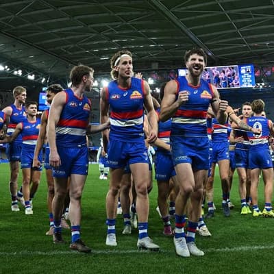 Western Bulldogs inundated by wave of AI-generated disinformation