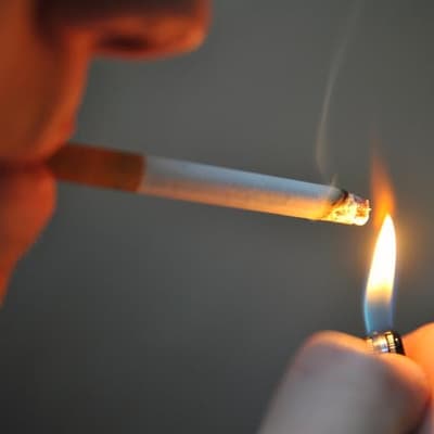 New data lights up enormity of tobacco black market