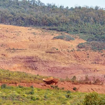 Call for reform amid rampant land clearing, nature loss